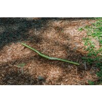 Funn Speedrun 31,8x680mm Lenker 20mm Blast Green